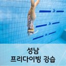 성남 프리다이빙 강습 비용·준비물·커리큘럼 한 번에 정리해 드릴게요