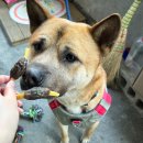 견식파티 이미지