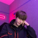 도옹이 Daum카페