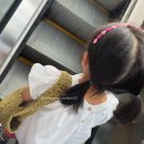 고향꽃화원 이미지