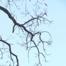 부산박물관 야외 이미지