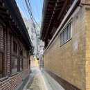 명참치