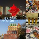 신호등 탕후루 | 중국 칭다오 청도 2박 3일 여행 필수 맛집과 명소만 다녀온 후기