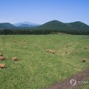 제동농장 이미지