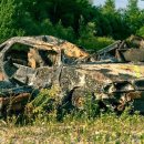 HD모터스 이미지