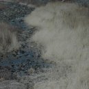 풍경스케치 이미지