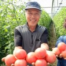 은혜농장2 이미지