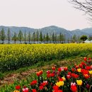 설천면117 네이버블로그