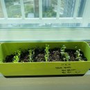 샌드앤드 Sand And 이미지