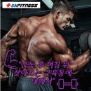 SN Fitness 이미지