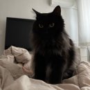 백암테니스장 | 일은 하기 싫고 놀고만 싶은데