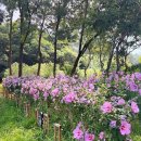 동산 투데이경제