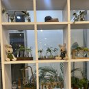 컴프에비뉴 | 📚 파주브런치 찾는다면 여기! 탄현면브런치맛집 컴프 에비뉴 애정 후기