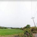 금성리 농로 1 이미지