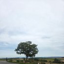 세븐발전소 | [삿포로 여행후기] 삿포로는 비에이 버스투어 필수죠 - 청의 호수, 세븐스타 나무, 탁신관 갤러리, 흰...