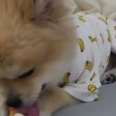 서울햇빛동물병원 이미지