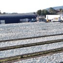 박지호농장 이미지