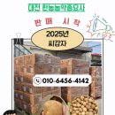 한농종묘사 이미지