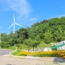 영덕 물가자미 전문점 이미지