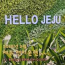 씨유김포우리점 | 3박4일 제주 다이어트 여행 시작 : 김포에서 성산까지
