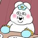 끼끼마다 이미지