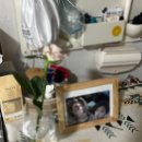 UR(천안시)-[풍세로]-하-33 | #눈부셨던 8월zip_별일들(용산청모,천안한복)