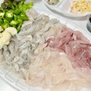 푸른용궁회 이미지
