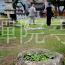 선원사 대웅전 이미지