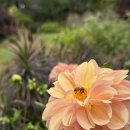 호수가에풍경가든 이미지