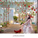 플레인(PLAIN) 이미지