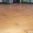 일죽초등학교 이미지