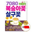 복숭아꽃살구꽃 이미지