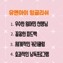유앤아이잉글리시1대1원어민영어회화 네이버블로그
