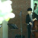 콘트라베이스 이미지