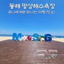 망상 | 동해 해수욕장 개장일, 망상해수욕장 모래해변 물놀이 후기