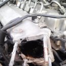 오렌지 카 매니아 이미지