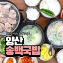 양산신-8019 | 양산 맛집 송백국밥: 부드러운 항정국밥과 푸짐한 수육백반 후기