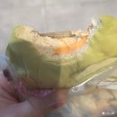 송림욕장 진입도로 | 스이잔테이클럽 조잔케이(Suizantei Club Jozankei) 노천탕 객실 조잔케이 여행 후기, 송영버스 갓파라이너