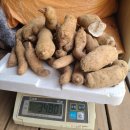 가지산천마영농조합 이미지