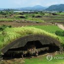 일제 전초기지 '알뜨르비행장' 활용 제주평화대공원 조성 윤곽 이미지