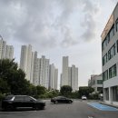 카페위한 | 오산 대형 애견카페 "너를 위한 카페" 방문 후기 🐾