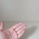 극동크리닝 이미지