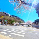 부엔까미노 | 대전 산성동 카페 부엔까미노카페 – 스페인 커피 카페꼰미엘 후기