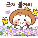 다윤마트 이미지
