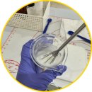 바나나 반려견 미용실 이미지