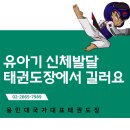 용인대 국가대표 태권도장 이미지