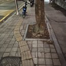 스타필드 수원 가는 길(화서역)