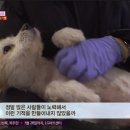 일명농장 국민일보