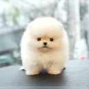 송이로14길 이미지