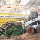 삼닭농장 이미지